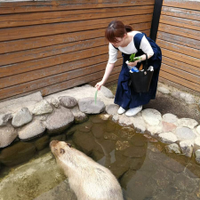 長川 可奈さんのプロフィール