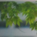 下川 恵子