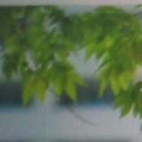 下川 恵子