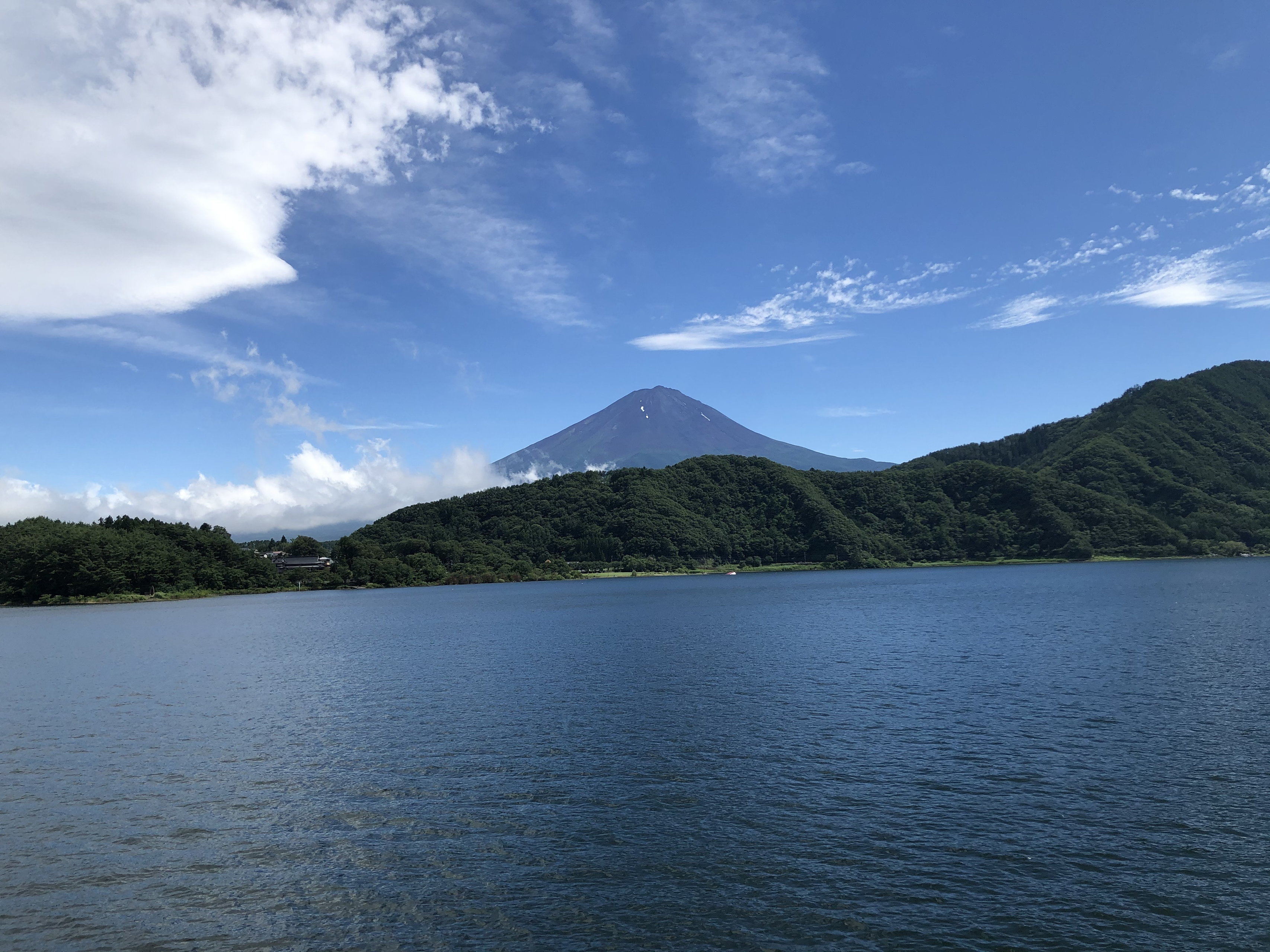 なぜ外資系企業から日本ベンチャーへの転職を選んだか