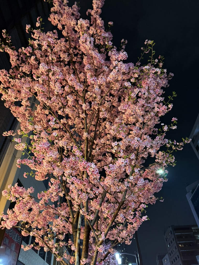 誰よりも挑戦する会社で、誰よりも成長したい人へ