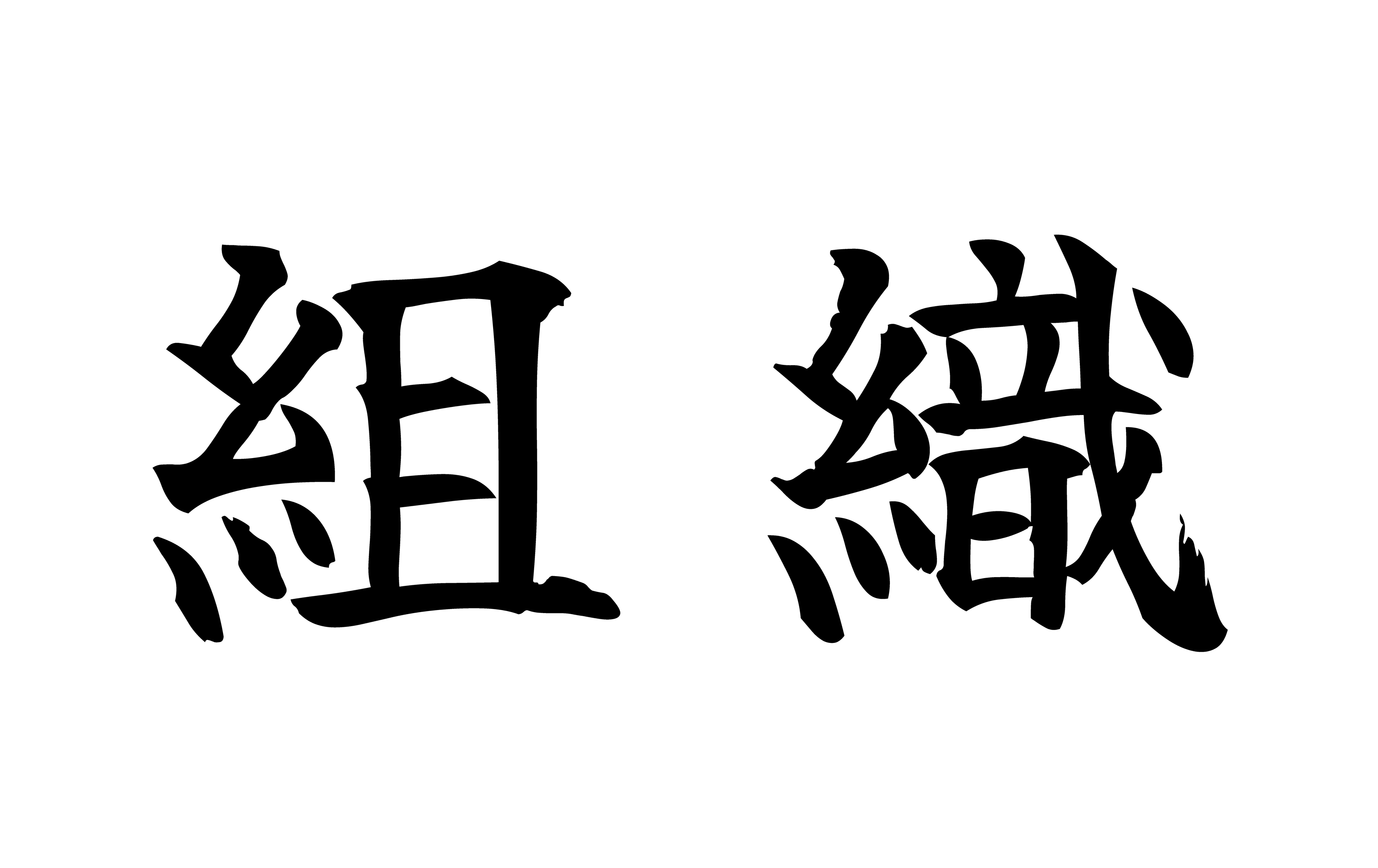 CAVIN流「仲間」