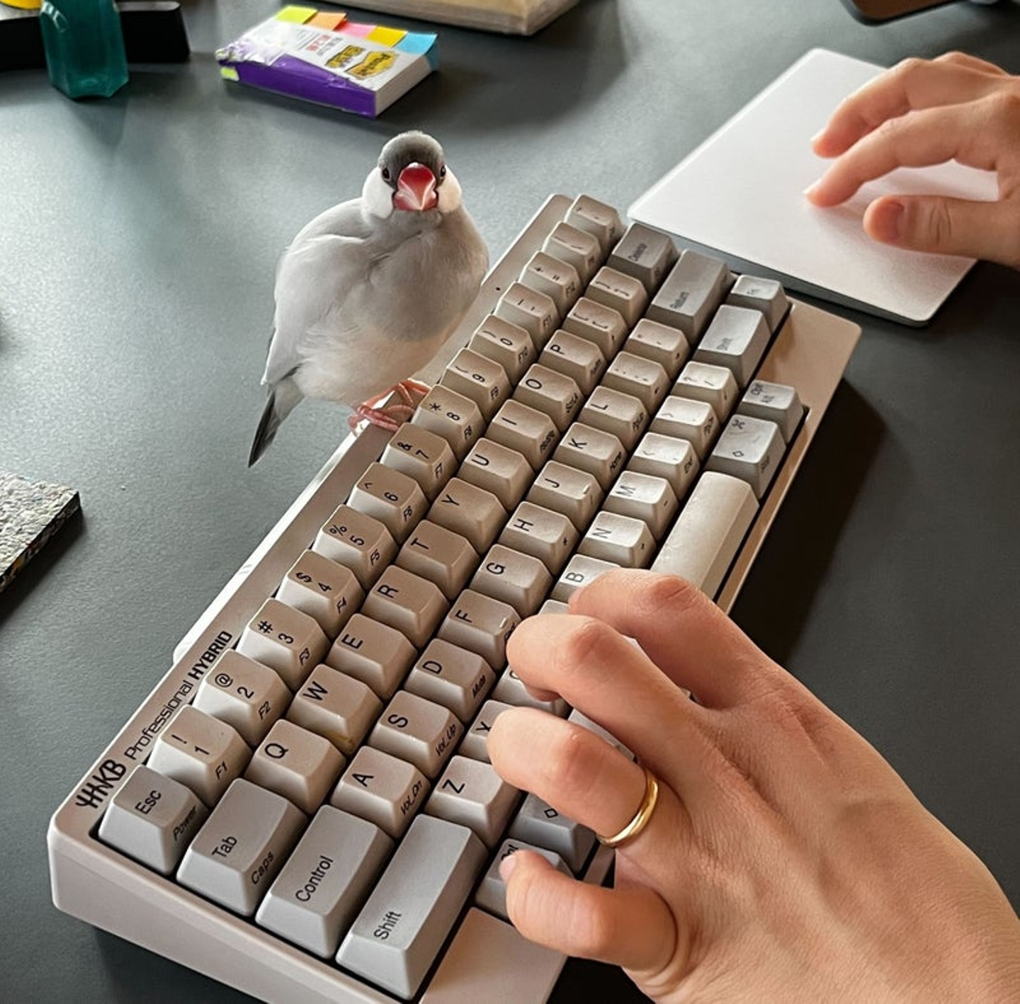 Article content