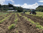 運営しているオーガニックファーム