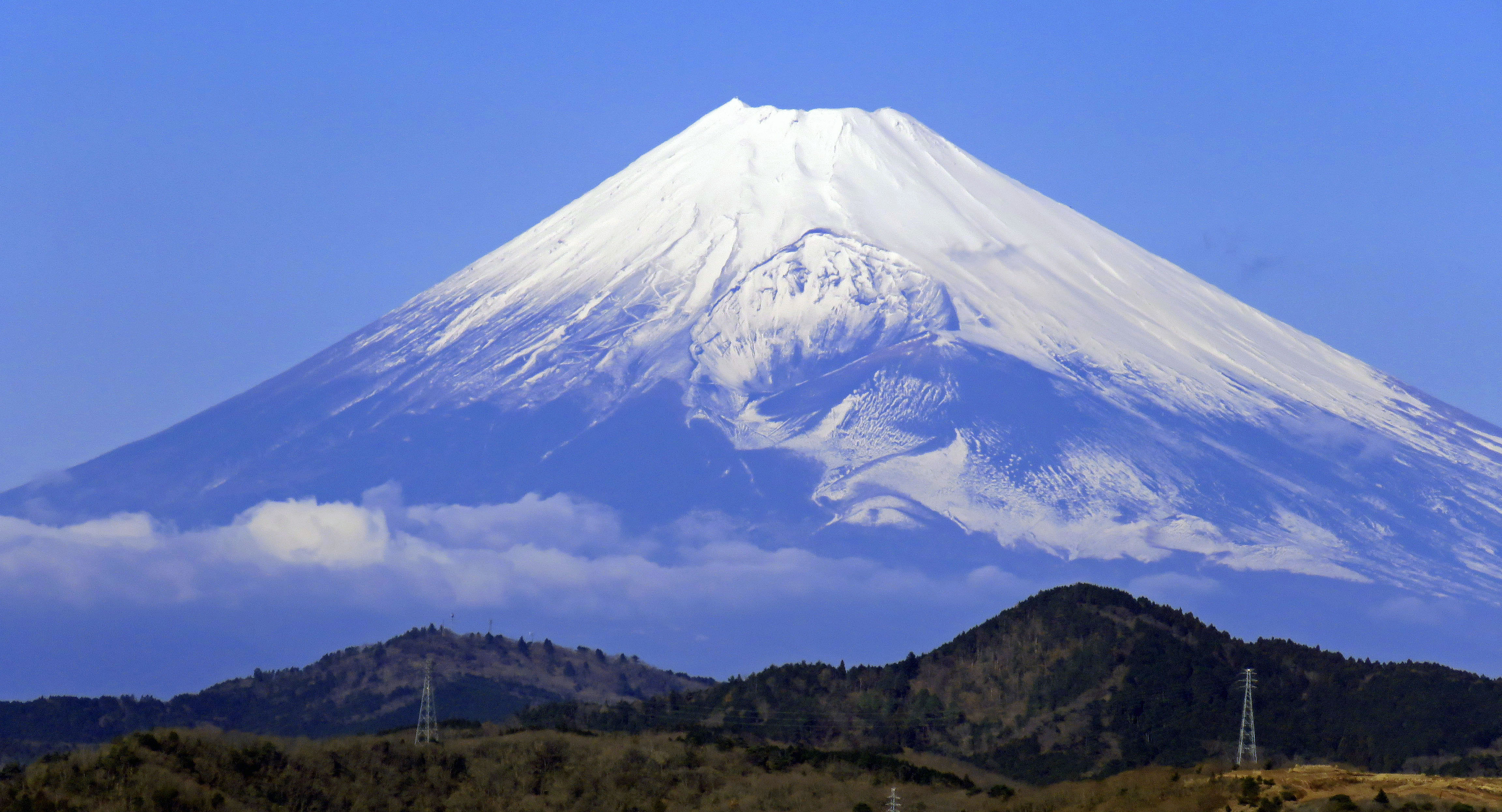 未来のしっぽを掴まえろ。