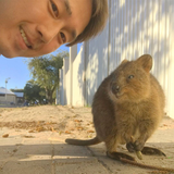 Yosuke Amano