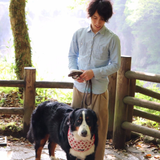 Yasuyuki Kimura