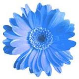 美佳 平塚