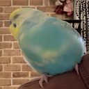 野口 直人