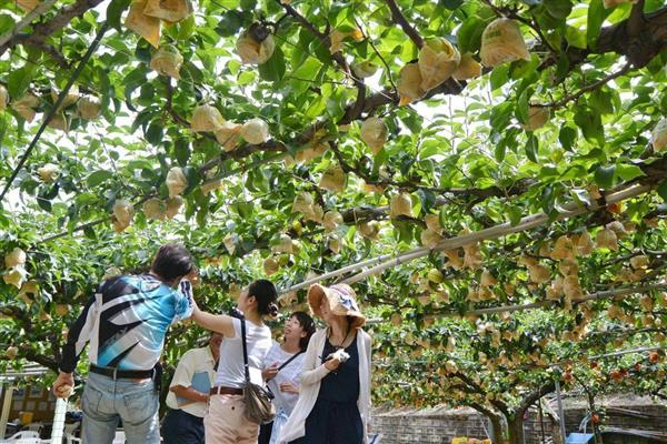 産経新聞連載【魅力を発信する②】
