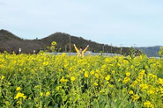 自然の中でリフレッシュしながら、明日へのパワーをチャージ！