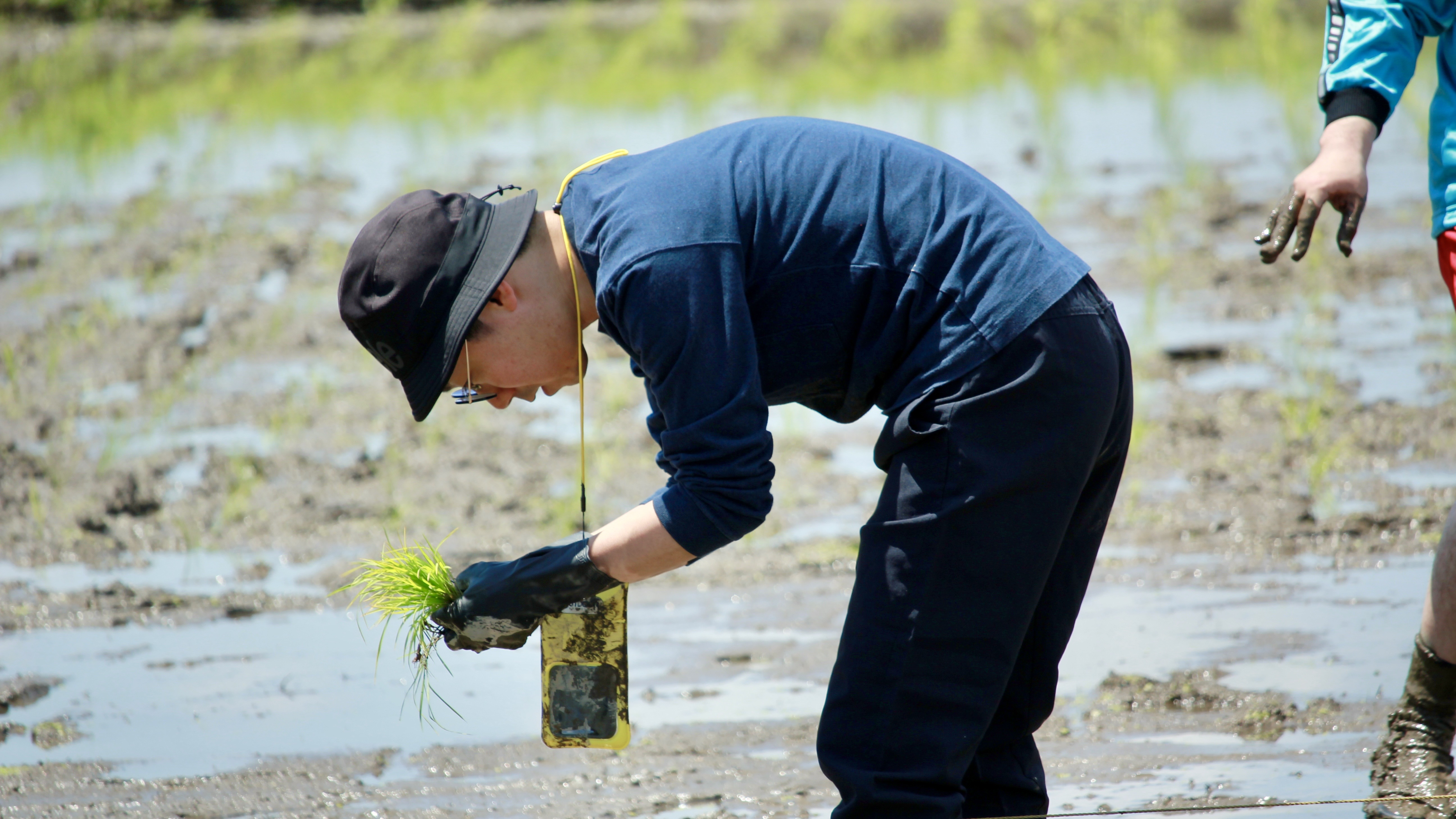【BLOG#9】泥に足を突っ込んで、気づいたこと―田植え研修レポート