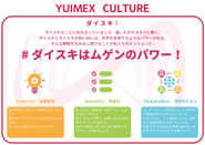YUIMEX Culture