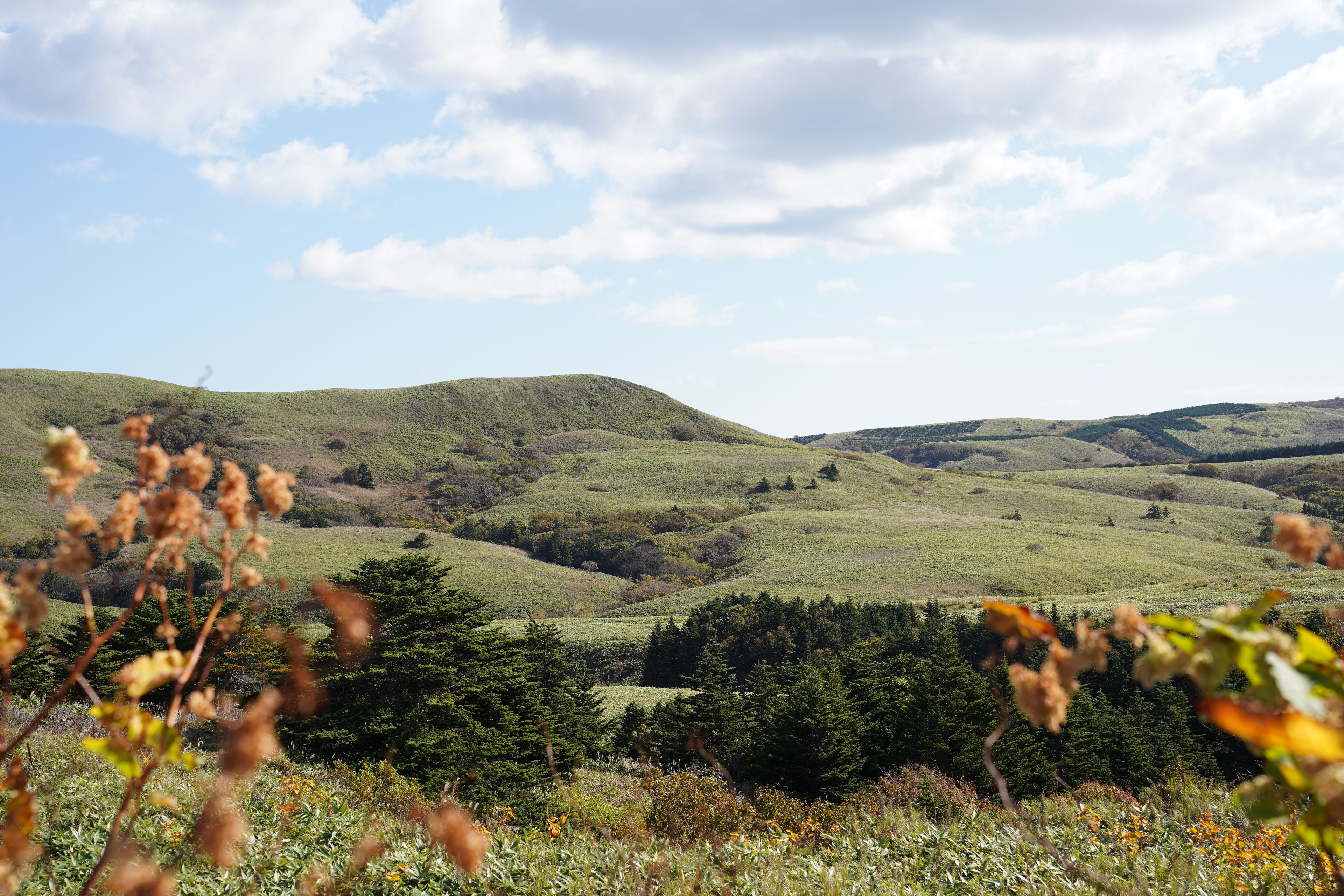 離島での一日～休日編～