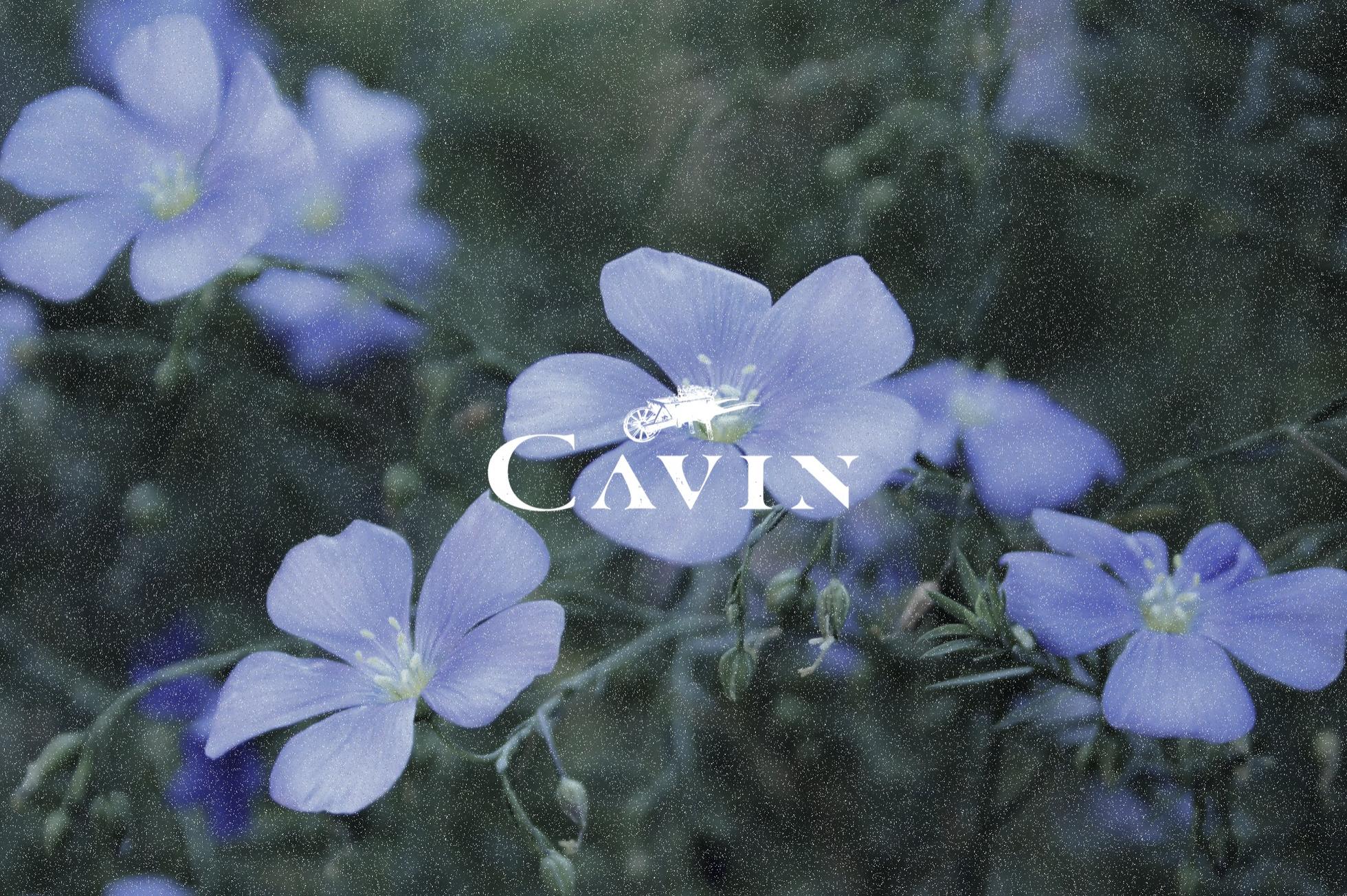 プロダクトマネージャー｜CAVINが目指す世界を一緒につくりませんか？ - CAVIN Inc.のプロダクトマネージャーの採用 - Wantedly
