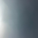 新井 亘