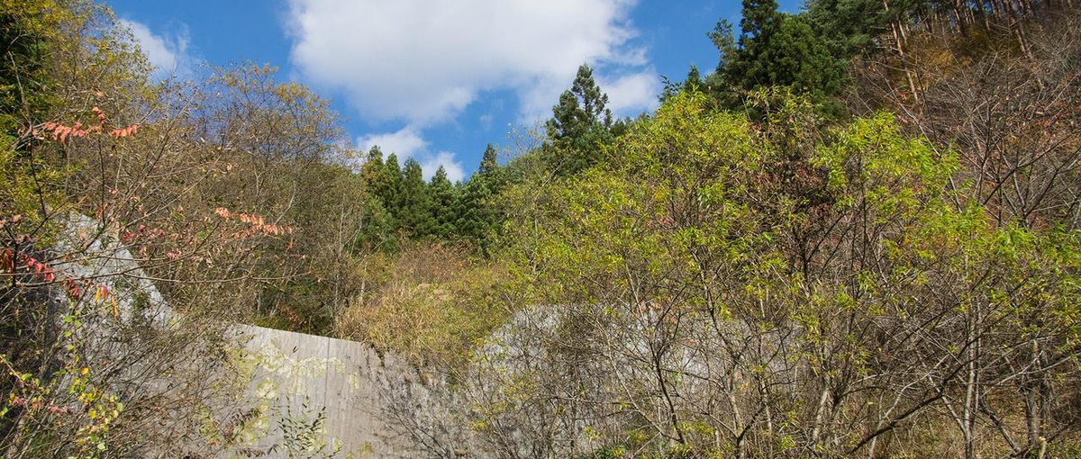 地域で起こす新たな事業｜地方×ビジネスの文脈で新たな挑戦したい人求む！