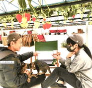 イチゴと畑と猫とPC会議