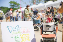 Webマーケティング✖️ドッグイベント企画運営で愛犬と愛犬家のQOLの向上