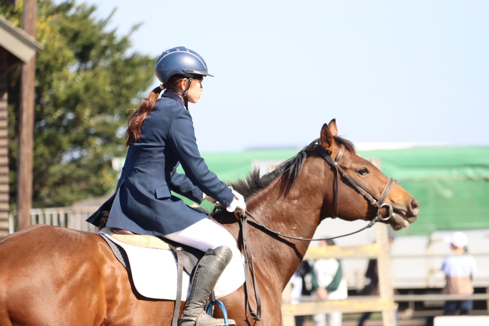 【学生インターン自己紹介】人生迷走中の私がshabellでライターを始めた理由