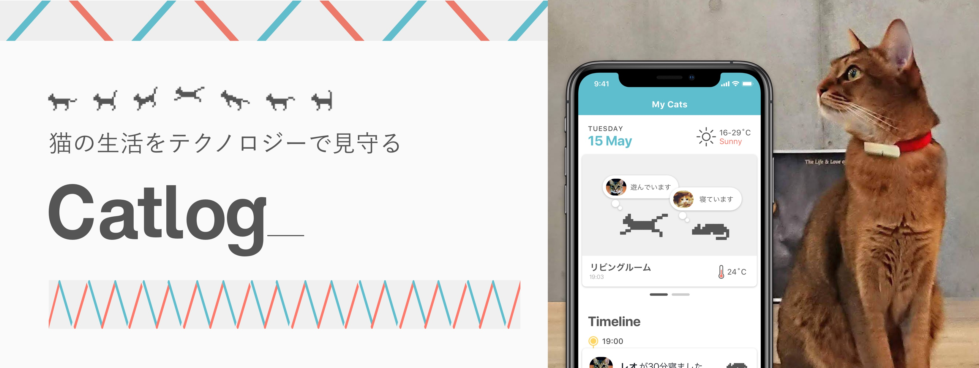 猫が大好きすぎてCat-Tech Companyを爆誕させました。