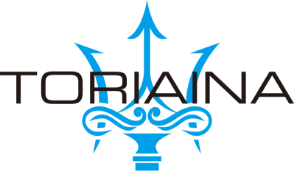 株式会社トリアイナ