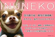 若いメンバー中心で会社を伸ばしています！一緒に頑張ってくれる方をお待ちしています♪