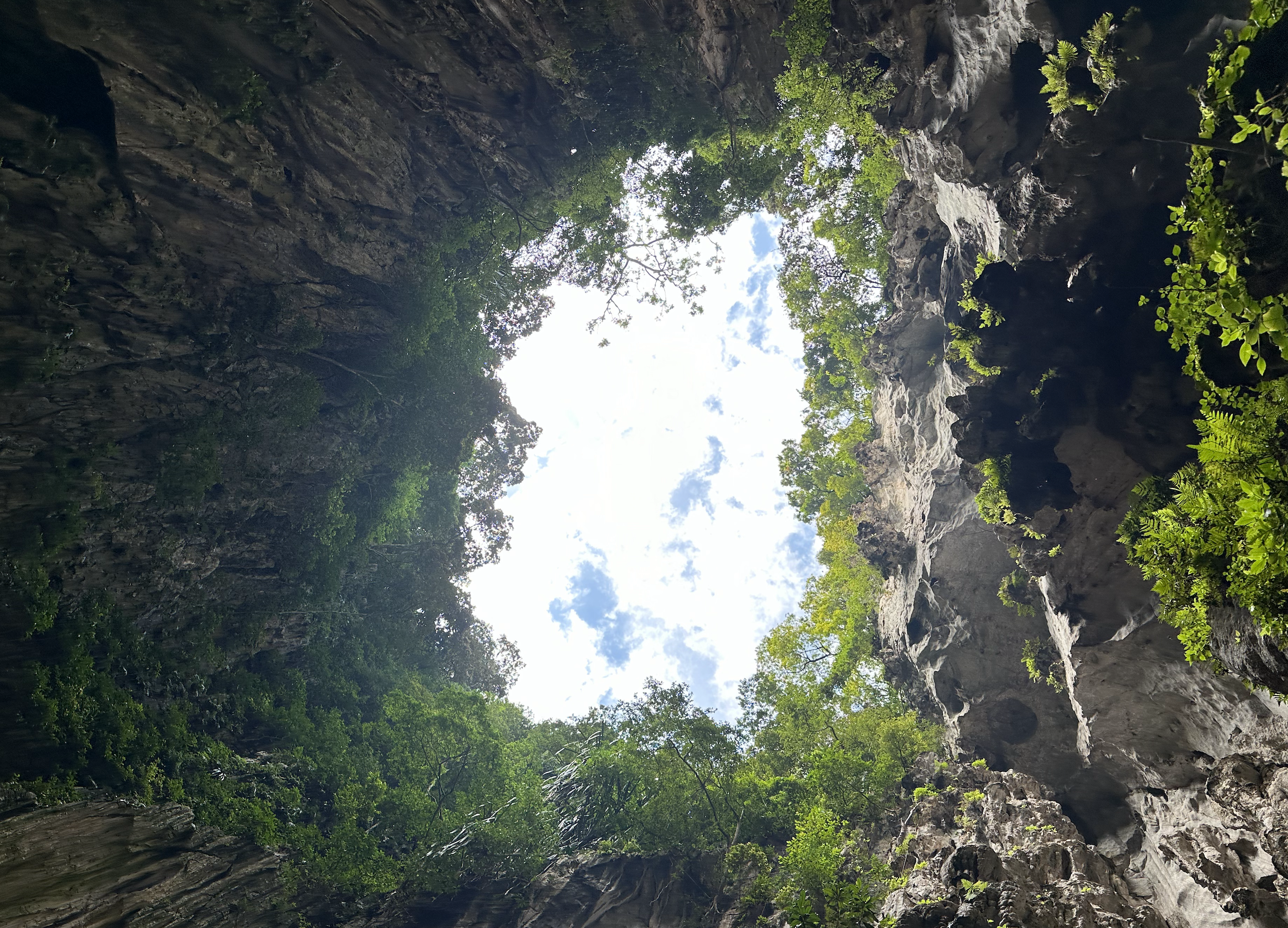 Discover Malaysia: Your Gateway to a Vibrant Lifestyle and Opportunity ✨