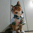 平田 祐子