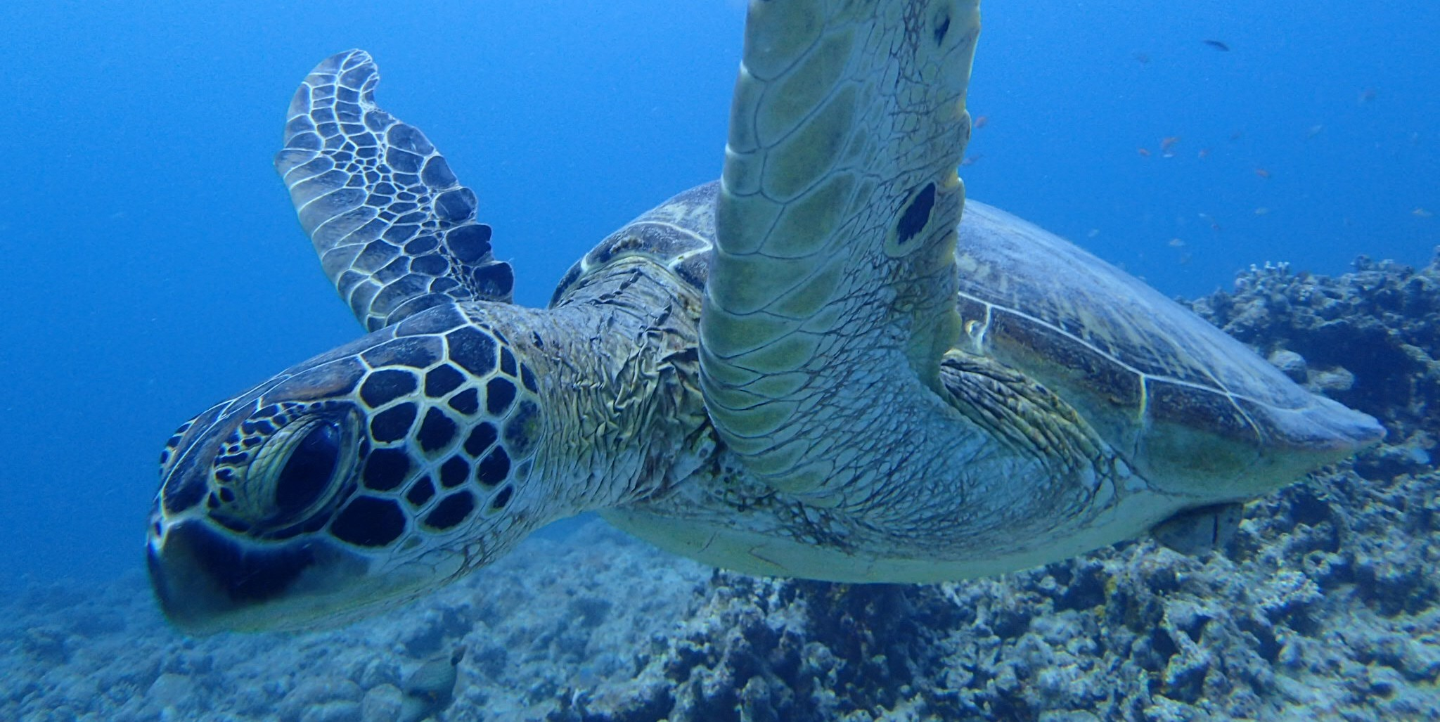世の中は生きているだけで発見がたくさん！！