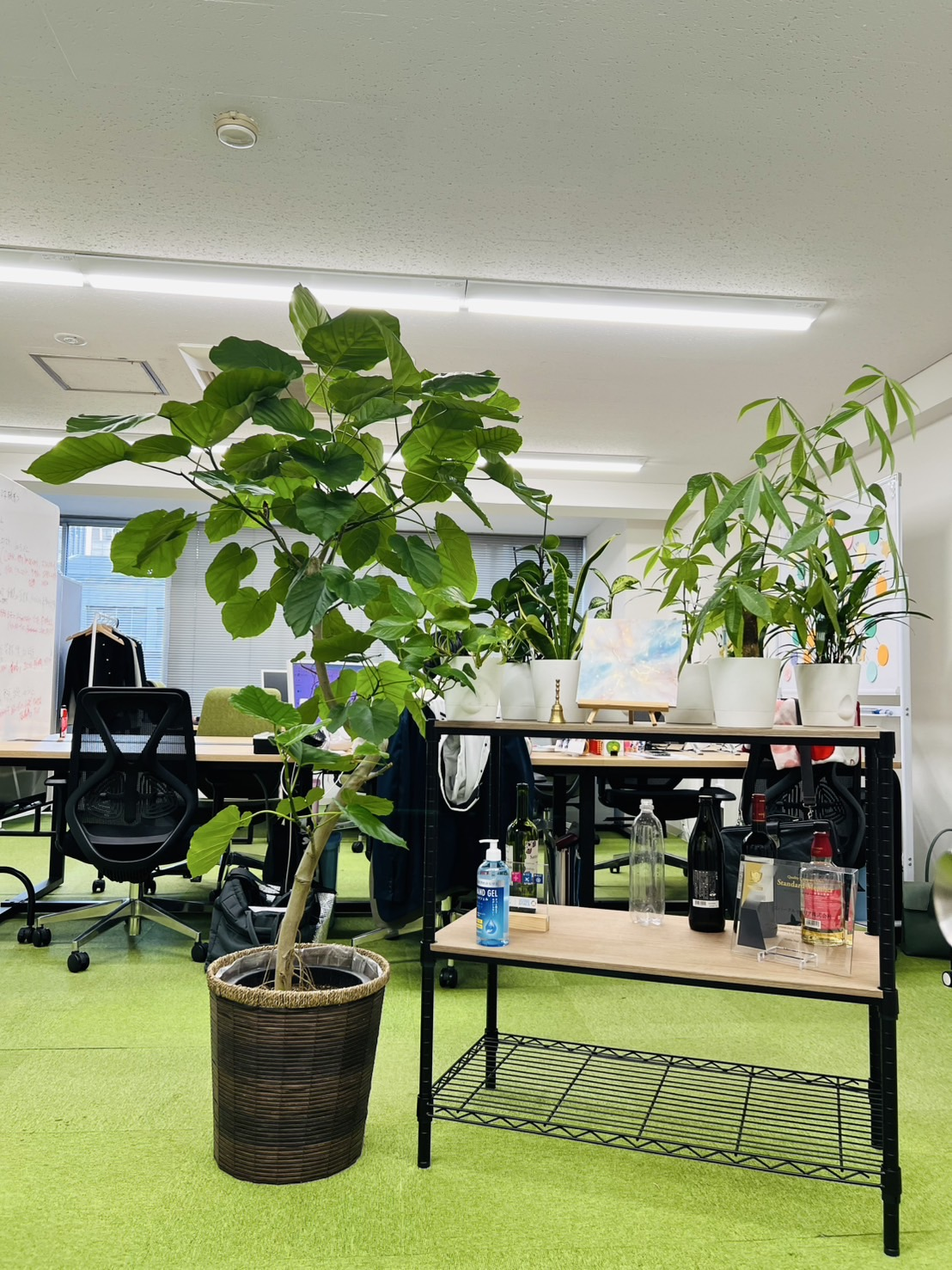 オフィス紹介✨信頼と安心の空間を作っています。