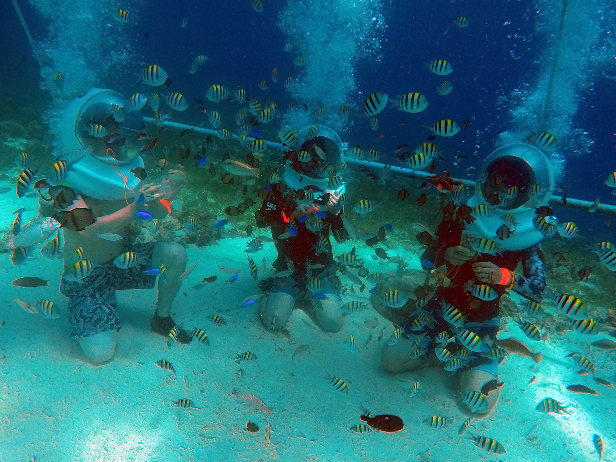 南国社員旅行でチームビルディング