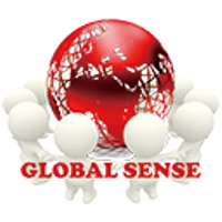 グローバルセンス株式会社の会社情報