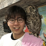 田中 雄也
