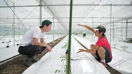持続可能な未来のために、国産の作物、旬の野菜を積極的に使用しています