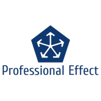 株式会社プロフェッショナルエフェクトの会社情報