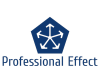 About 株式会社プロフェッショナルエフェクト