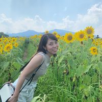 Shino Ikeda