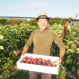 能見 洋成