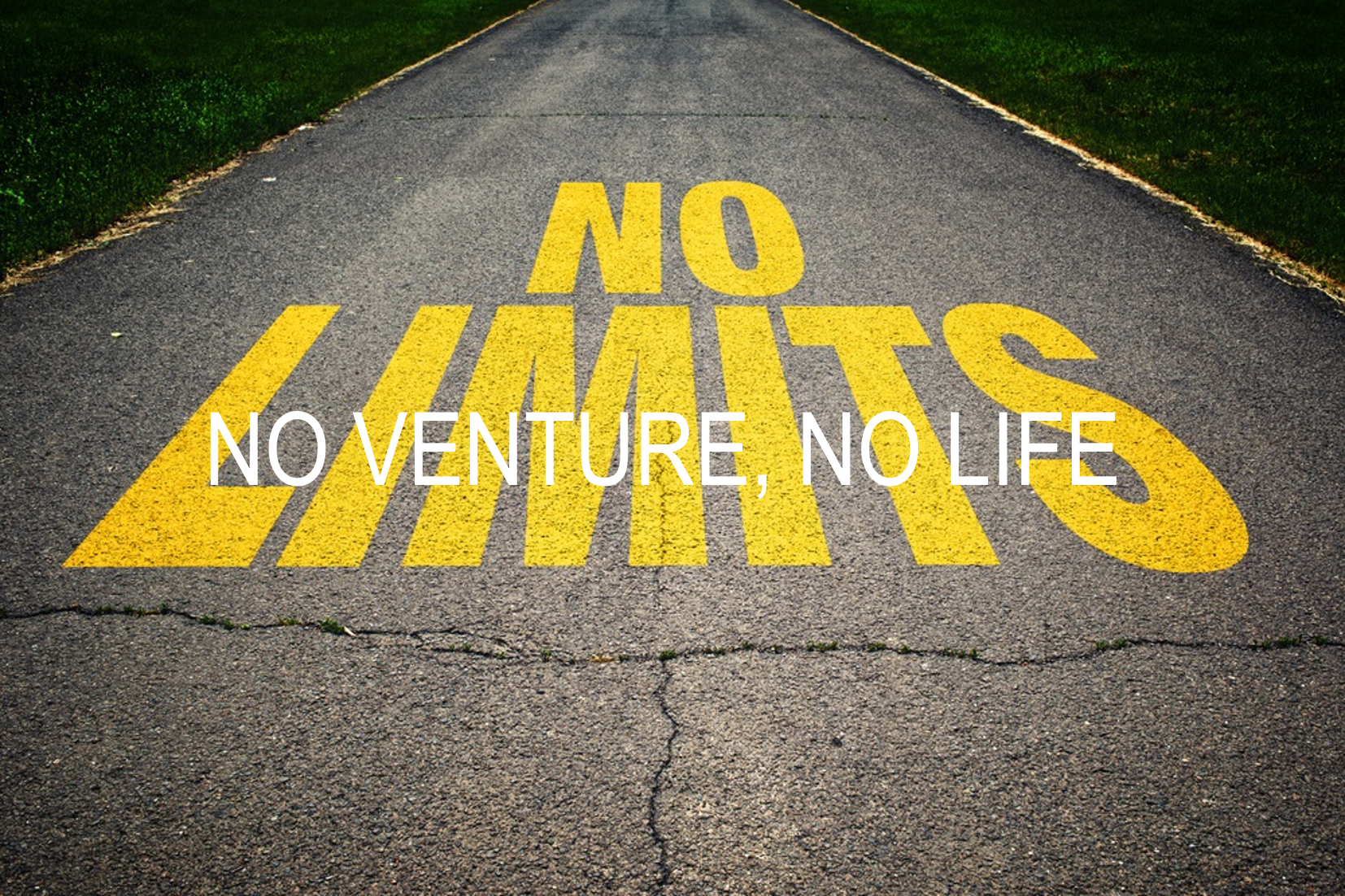 日頃からベンチャー！と叫びまくる私が考えるベンチャーで働く覚悟