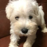 こん　あきよし