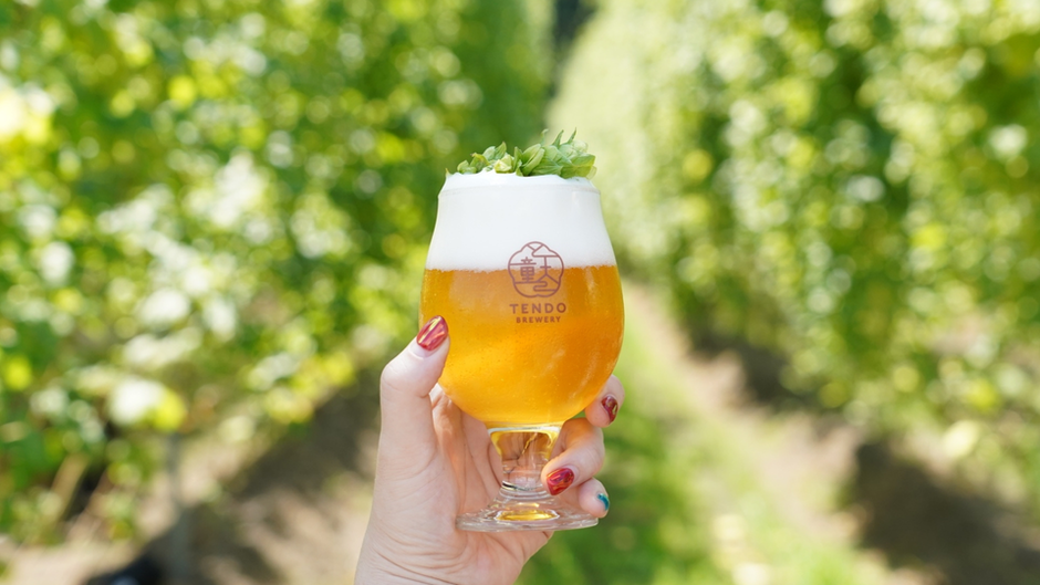 🍺 8月2日開催｜山形未知体験in白鷹3rd 朝摘み生ホップで究極のビール