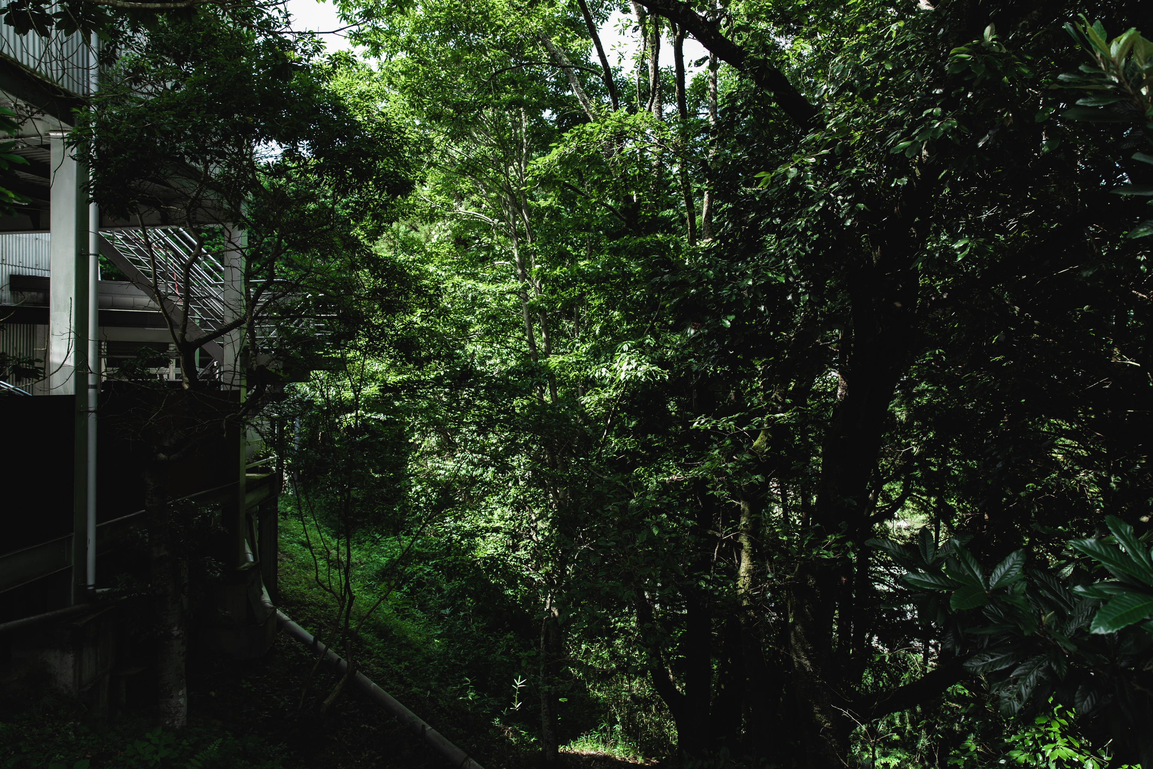 事務職から転職→キャリア4年目の成長