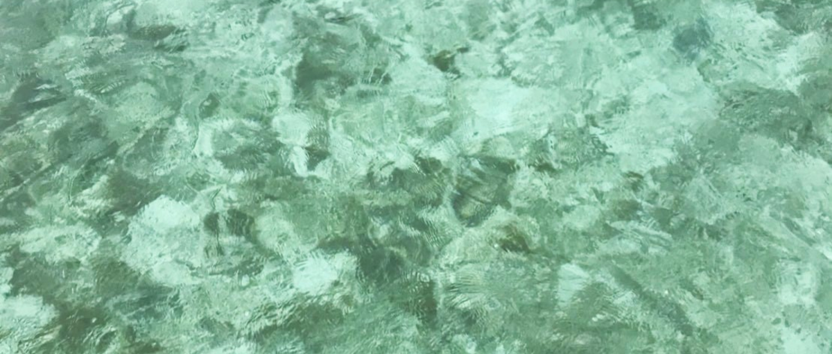 Photoshop＆Illustrator業務のデザイナー募集