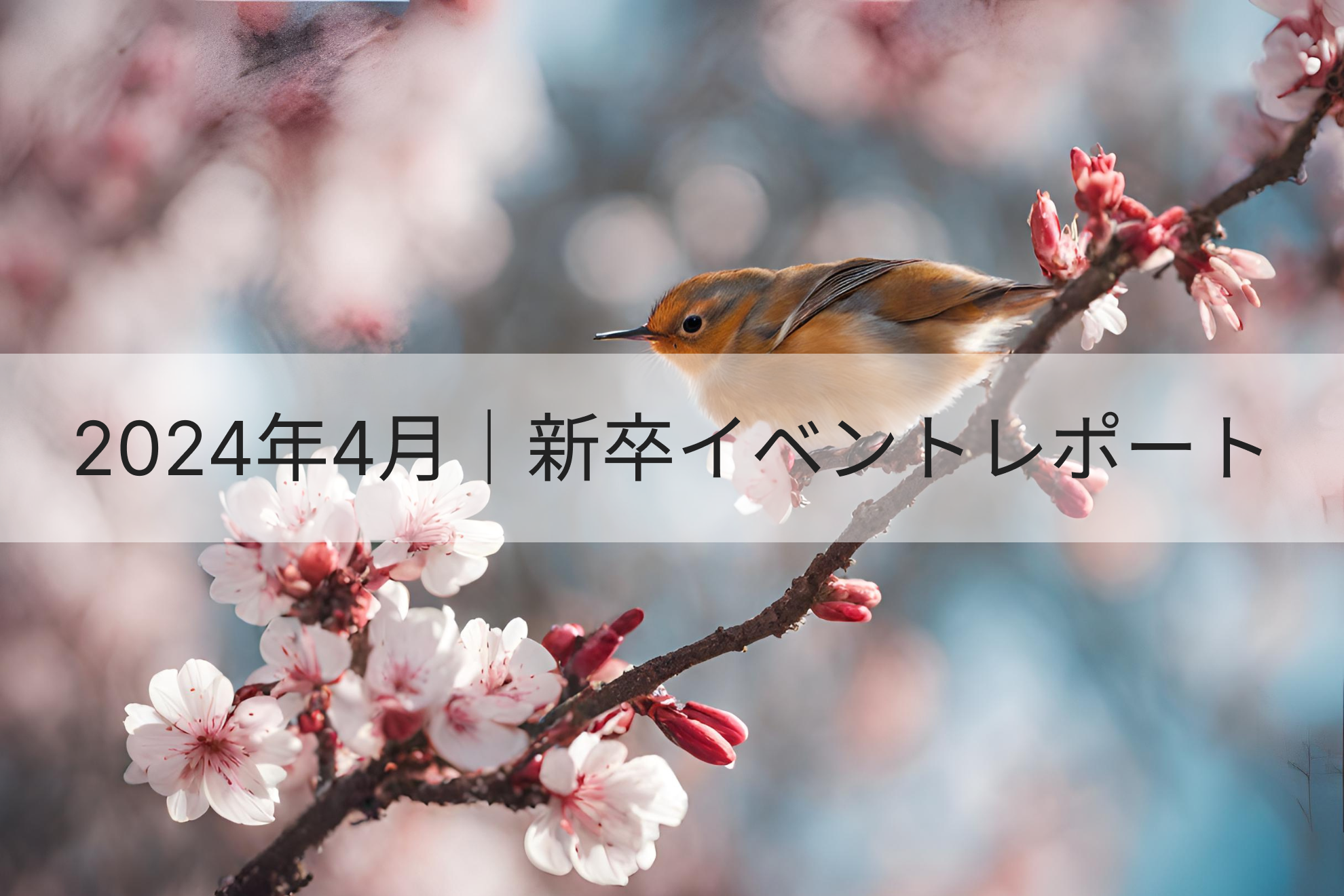 2024年4月｜新卒イベントレポート🌸