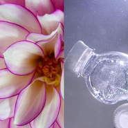 GLOBAL ENVIRONMENT(地球環境)