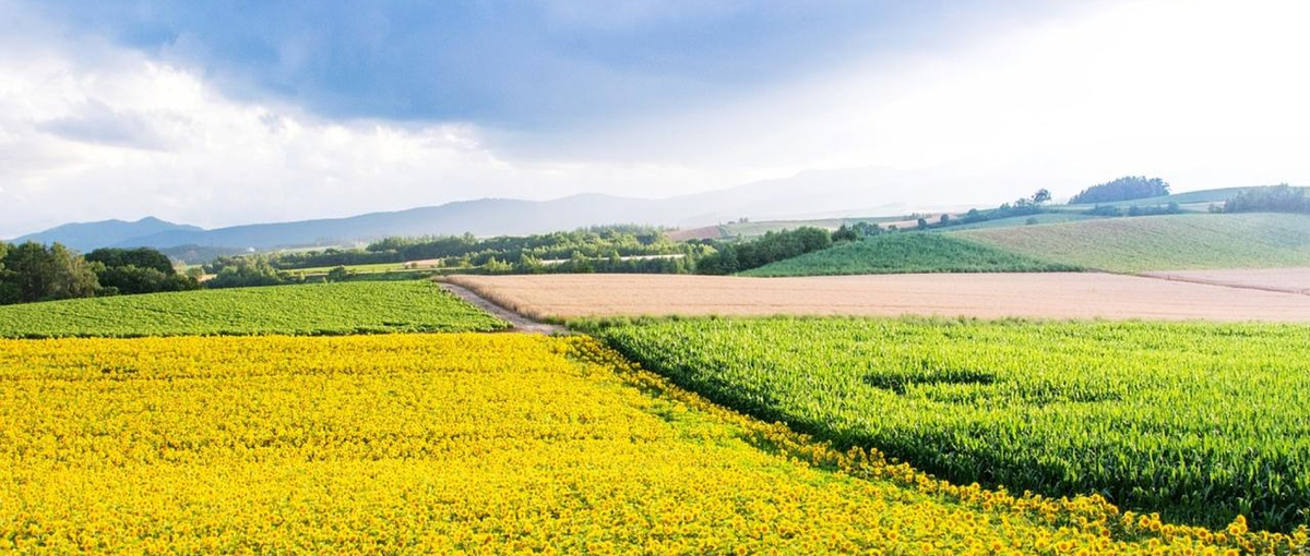 UIターン大歓迎！バックエンドの開発を極めたいエンジニア募集！