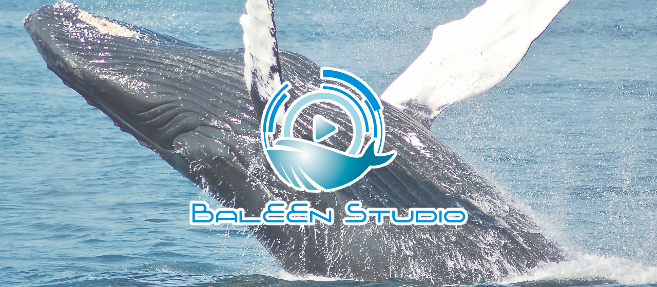 ”バリーン”って何の事？ロゴと社名に織り込んだ私達の意志と希望