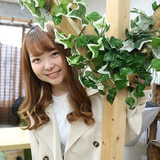 mayu fujiwara