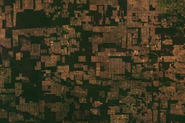 Image: Deforestation in Paraguay